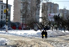 Власти Житомира подсказывают как бороться со снежной непогодой